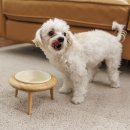 한마음동물의료원 이미지