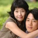 옥탑방 고양이 이미지