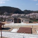 옥화자연휴양림 국민여가오토캠핑장 이미지