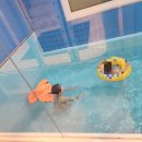 가둘기정원키즈풀빌라&스파 | 주말여행) 가둘기 정원 키즈&amp;스파 풀빌라