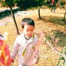 중앙삐아제어린이집 이미지