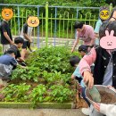 2024. 생태학습도시 지원사업 | 인천시 생태전환교육 예산이 반토막 났다.