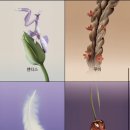 NUDAKE(누데이크 성수)