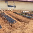 다이어트댄스(주간) 이미지