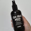트리워터(tree water)