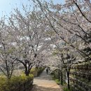 (주)토비기술 이미지