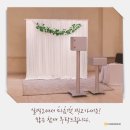 치즈박스