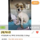 호수주유소 이미지