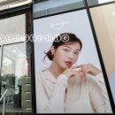 이순신안경 렌즈미 웅천점 이미지