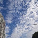 (주)거보주유소 | 정읍 맛집 진짜 고민할필요가없어요