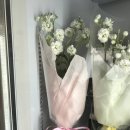 뉴힐링타임