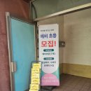 럭키푸르넷 네이버블로그