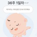 29170-1-A-36 | 36주 임산부 기록 / 산모신생아 건강 관리 지원 온라인 신청 절차 및 후기