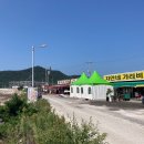 팔봉산마트식당 티스토리