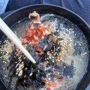 DOG LOVE WITH 란 | KB국민카드 스타샵 with 2025 인천펜타포트 락 페스티벌 2일차 토요일 후기