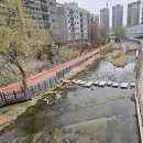 성우엔터테인먼트 | 니케 오케스트라 콘서트(2026) 다녀온 후기