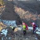 대곶초교 이미지