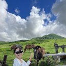 드림빌사과테마공원마을 | 구마모토 여행코스 근교 아소산 투어 솔직후기