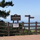 동양카 | 통영 케이블카 탑승 후기 가격 할인 꿀팁