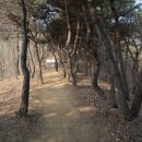 고모령길 이미지