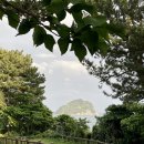 바다가보이는작은도서관 이미지