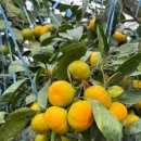 한길농부 농장 이미지