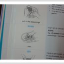 헤더 보기 새창읽기 일정입력 인쇄 메일 다운로드 [강남] - 정확하게 영어로 말하고 싶으신 분들? [스터디원 4명 모집] 이미지