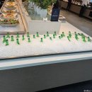 라루체 | 명동 라루체 밥루체 시식 후기