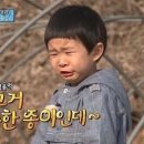 모블리스 이미지