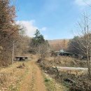 경기 광주 보전관리400평 도로접 다용도 추천 이미지