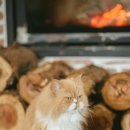 흥미민박 이미지