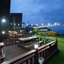 핑스애견펜션 이미지