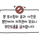 현대한솔유치원 이미지