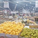 우리홈마트 청과 이미지