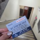 온궁로 | 2025아산 은행나무길 마라톤 하프 후기(+10k 길 잘못안내 이슈)