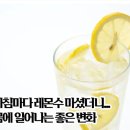 아침마다레몬수마셨더니 …몸에일어나는 좋은변화 이미지