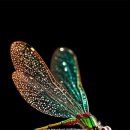 동행상사 이미지