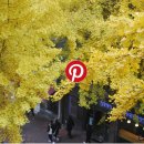 모아꽃방 이미지