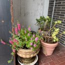 강화읍사무소 | 강화도 강화읍 카페 말이 필요 없는 블루리본 디저트 맛집 아뚜드스윗