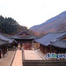 동학사 이미지