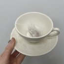 유니드백세 이미지
