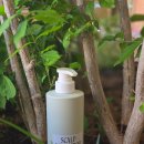 데일리앤스파 이미지