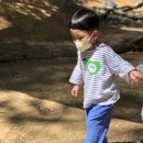 신진병설유치원 이미지