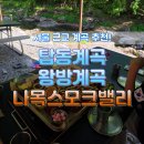 215-2-000006 | (여행/맛집)이제 곧 계곡 시즌! 미리 다녀온 탑동 계곡 / 왕방 계곡 추천!