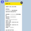 아주여행㈜ | 해외여행자보험 일본 중국 유럽여행 준비물 필수! 토글 후기