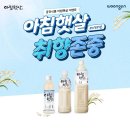 아침햇살 이미지