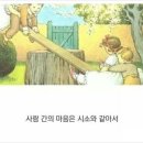 시소 - 달성군 | 시소