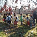 한빛농장 이미지