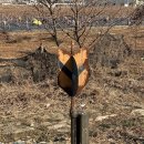 정위농장 이미지