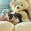 행복을 배우는 공간 이미지